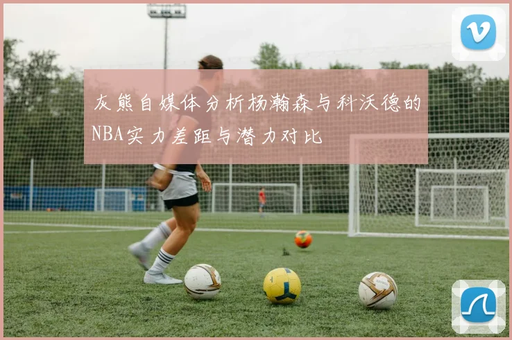 灰熊自媒体分析杨瀚森与科沃德的NBA实力差距与潜力对比